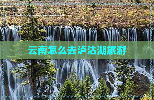 云南怎么去泸沽湖旅游