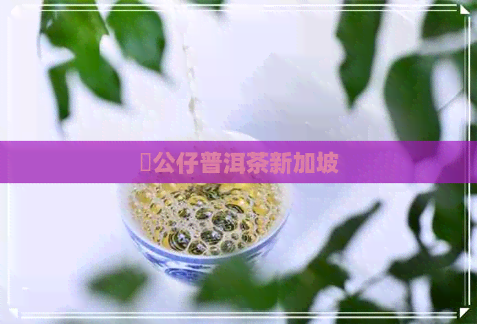 孖公仔普洱茶新加坡