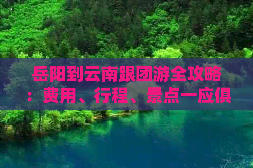 岳阳到云南跟团游全攻略：费用、行程、景点一应俱全！