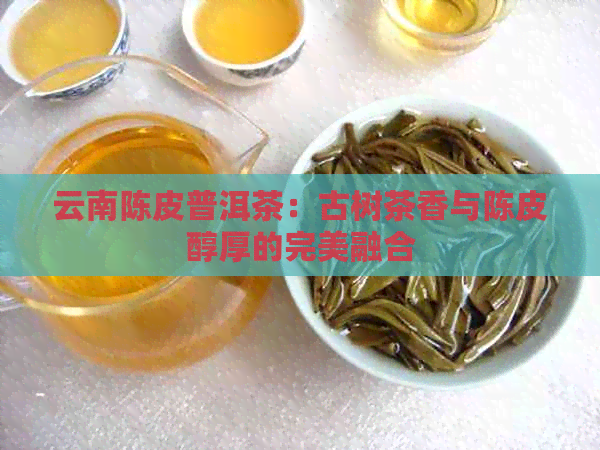 云南陈皮普洱茶：古树茶香与陈皮醇厚的完美融合