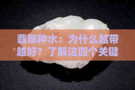 翡翠种水：为什么越带越好？了解这四个关键因素，让你成为专家