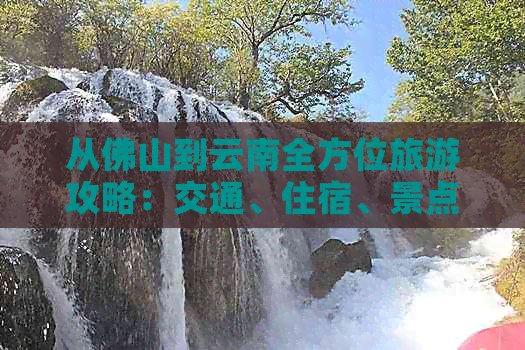 从佛山到云南全方位旅游攻略：交通、住宿、景点及行程规划一应俱全