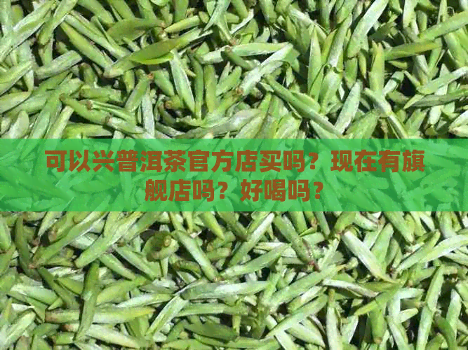 可以兴普洱茶官方店买吗？现在有旗舰店吗？好喝吗？