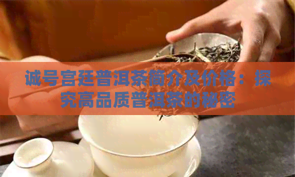 诚号宫廷普洱茶简介及价格：探究高品质普洱茶的秘密