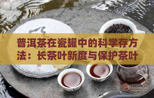 普洱茶在瓷罐中的科学存方法：长茶叶新度与保护茶叶品质的秘密技巧