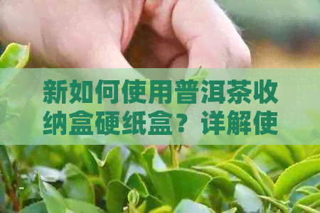 新如何使用普洱茶收纳盒硬纸盒？详解使用方法与注意事项