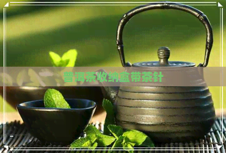 普洱茶收纳盒带茶针