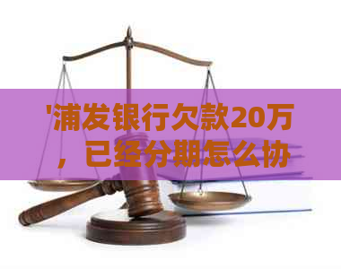 '浦发银行欠款20万，已经分期怎么协商还款？'