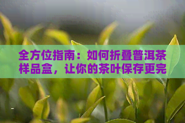 全方位指南：如何折叠普洱茶样品盒，让你的茶叶保存更完美