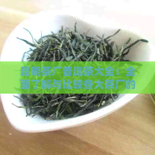 昆明茶厂普洱茶大全：全面了解与比较各大茶厂的经典普洱茶产品