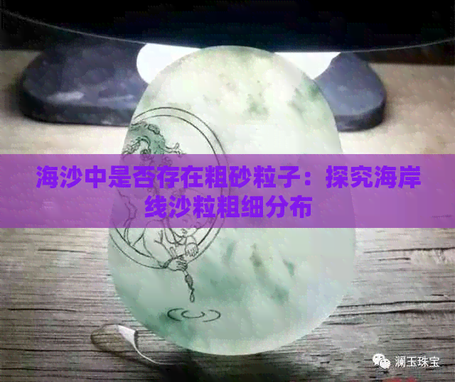 海沙中是否存在粗砂粒子：探究海岸线沙粒粗细分布