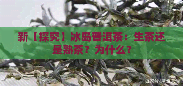 新【探究】冰岛普洱茶：生茶还是熟茶？为什么？