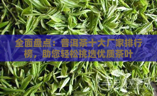 全面盘点：普洱茶十大厂家排行榜，助您轻松挑选优质茶叶