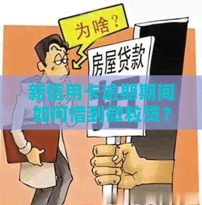 新信用卡逾期期间如何借到微粒贷？额度是否可用？还款方式有哪些？