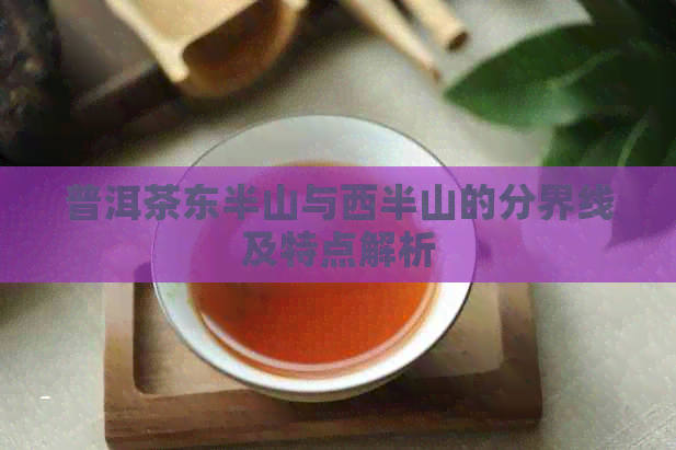 普洱茶东半山与西半山的分界线及特点解析