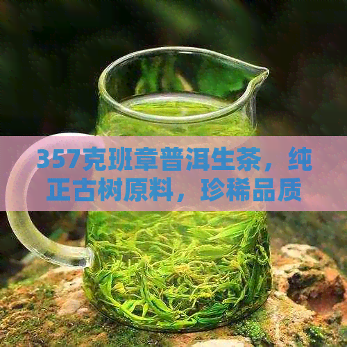 357克班章普洱生茶，纯正古树原料，珍稀品质，市场价格解析