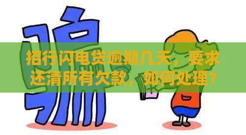 招行闪电贷逾期几天，要求还清所有欠款，如何处理？