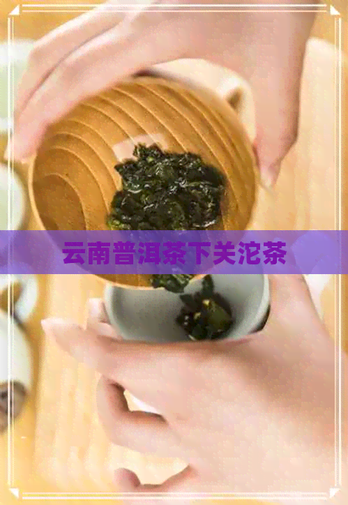 云南普洱茶下关沱茶