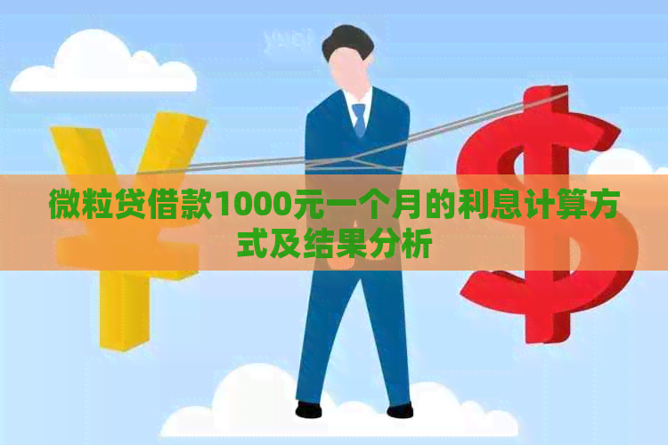 微粒贷借款1000元一个月的利息计算方式及结果分析