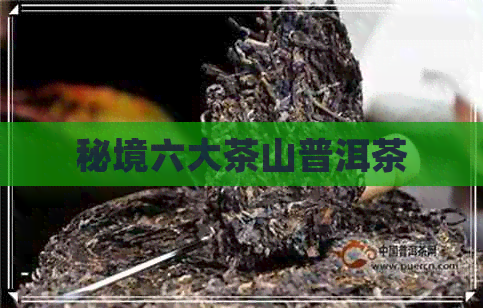 秘境六大茶山普洱茶