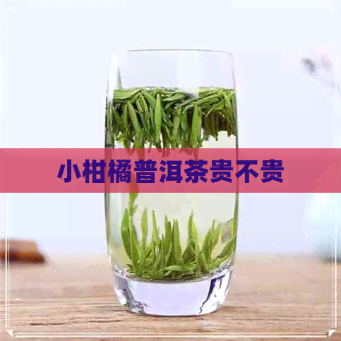 小柑橘普洱茶贵不贵