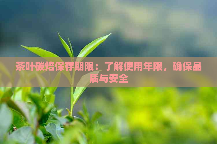 茶叶碳焙保存期限：了解使用年限，确保品质与安全