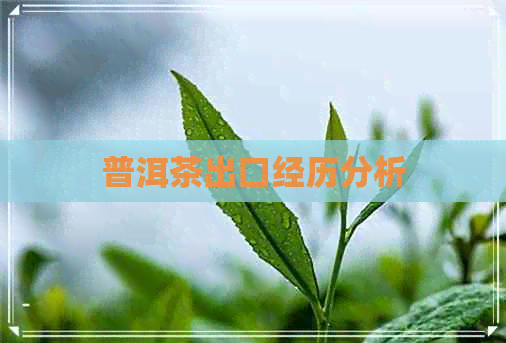 普洱茶出口经历分析