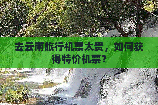 去云南旅行机票太贵，如何获得特价机票？