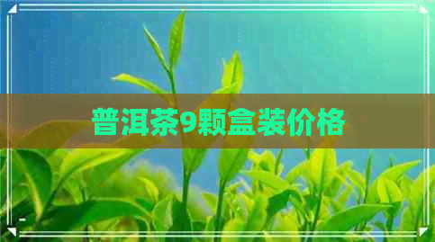 普洱茶9颗盒装价格