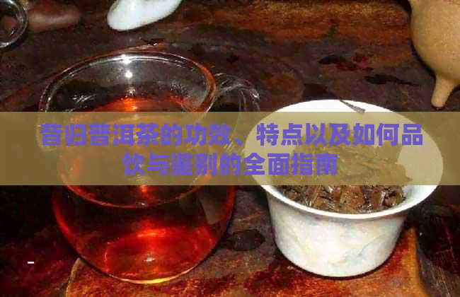 昔归普洱茶的功效、特点以及如何品饮与鉴别的全面指南