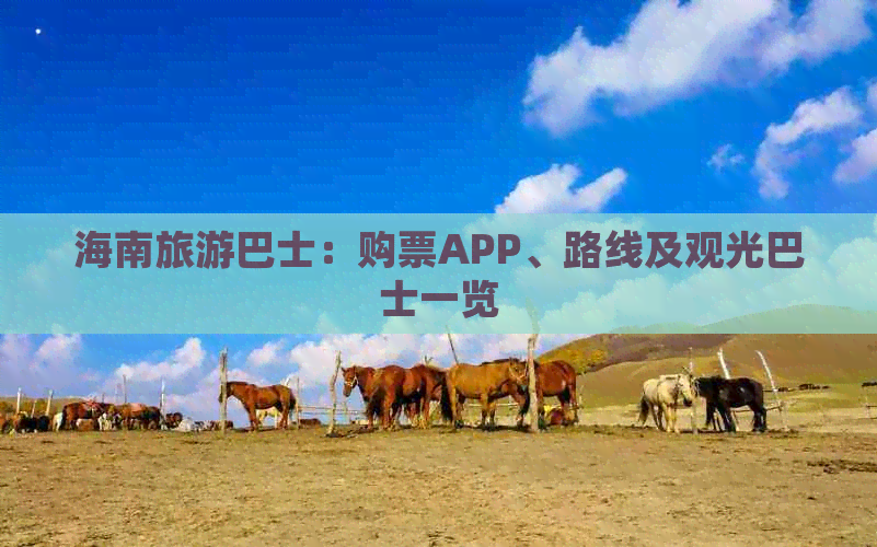 海南旅游巴士：购票APP、路线及观光巴士一览