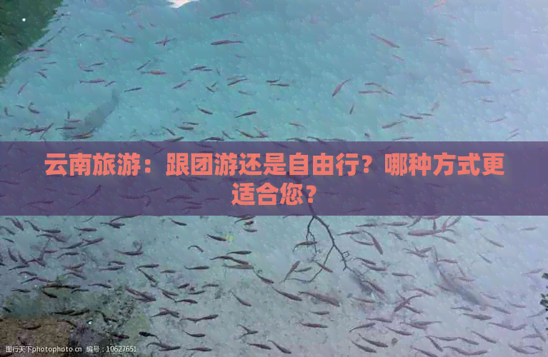 云南旅游：跟团游还是自由行？哪种方式更适合您？