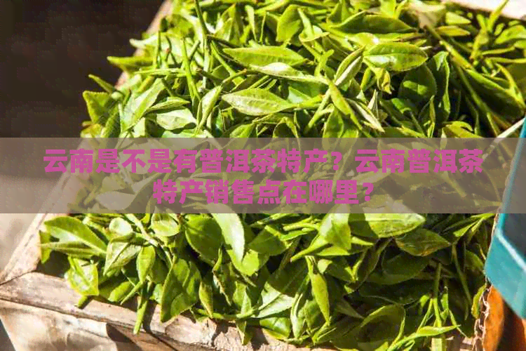 云南是不是有普洱茶特产？云南普洱茶特产销售点在哪里？