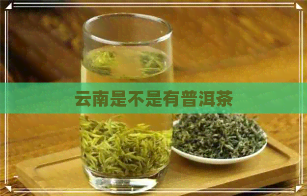 云南是不是有普洱茶