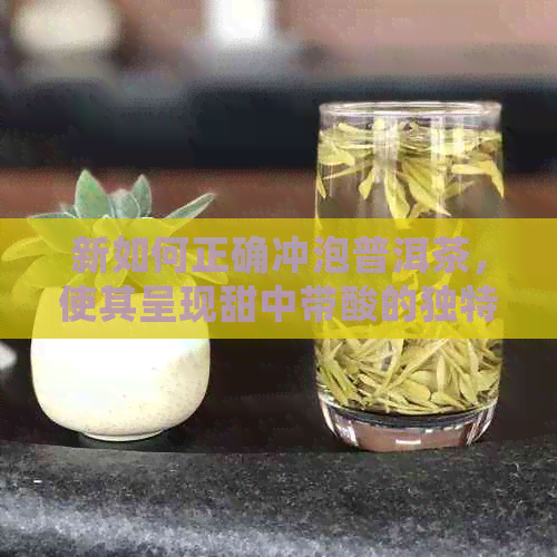 新如何正确冲泡普洱茶，使其呈现甜中带酸的独特风味？