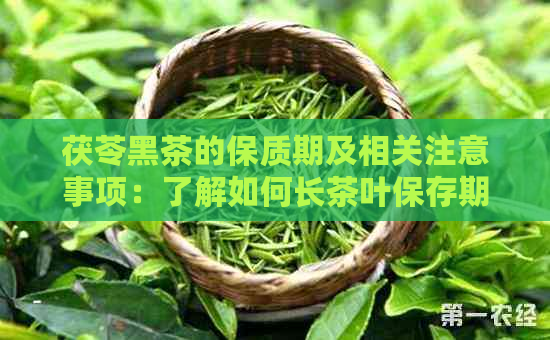 茯苓黑茶的保质期及相关注意事项：了解如何长茶叶保存期限