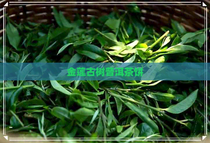 金莲古树普洱茶饼