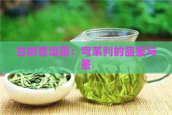 古树普洱茶：弯系列的品鉴与鉴