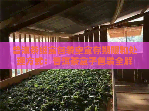 普洱茶纸盒包装空盒存期限和处理方式：普洱茶盒子包装全解析