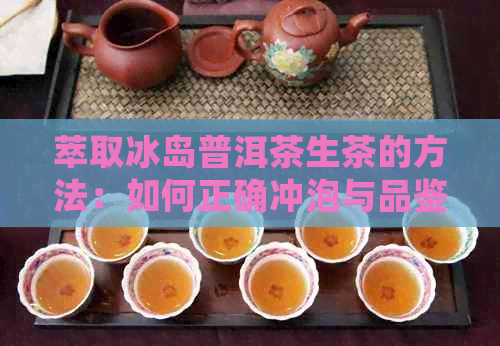 萃取冰岛普洱茶生茶的方法：如何正确冲泡与品鉴？