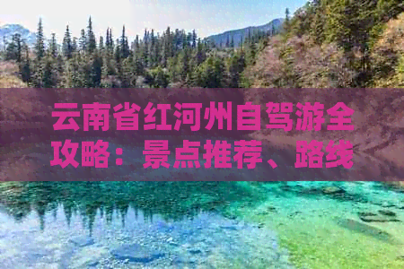 云南省红河州自驾游全攻略：景点推荐、路线规划、美食体验一应俱全