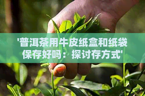 '普洱茶用牛皮纸盒和纸袋保存好吗：探讨存方式'