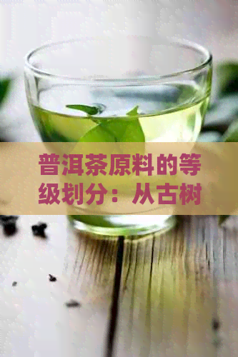 普洱茶原料的等级划分：从古树到台地的新视角