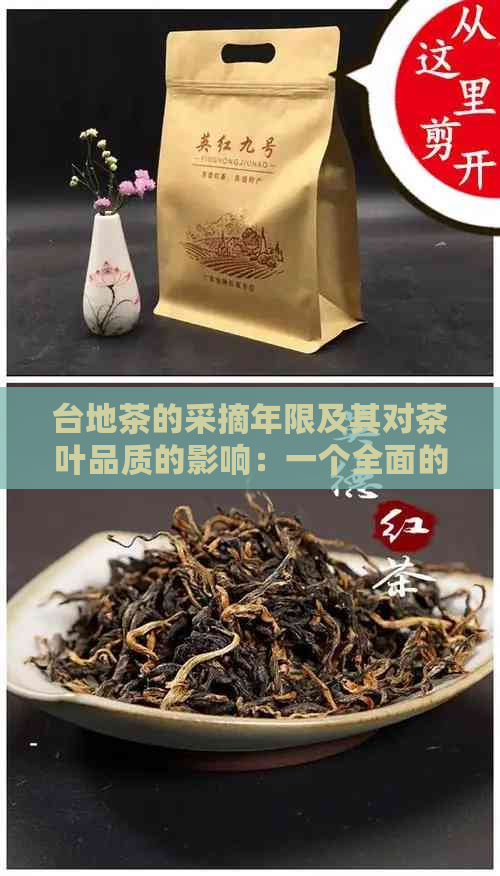 台地茶的采摘年限及其对茶叶品质的影响：一个全面的解析