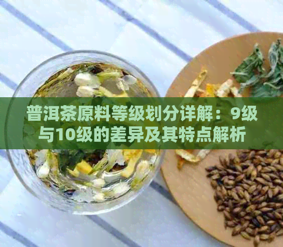 普洱茶原料等级划分详解：9级与10级的差异及其特点解析