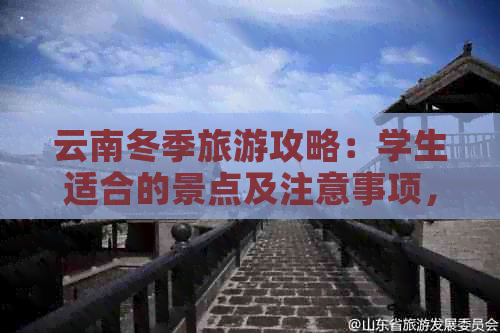 云南冬季旅游攻略：学生适合的景点及注意事项，现在正是好时机！