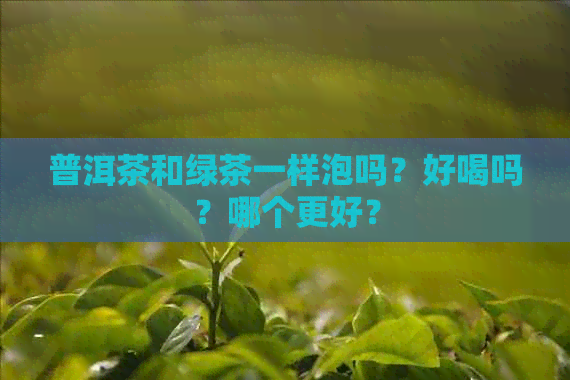 普洱茶和绿茶一样泡吗？好喝吗？哪个更好？