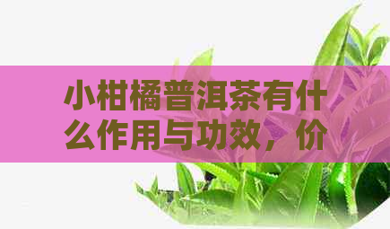 小柑橘普洱茶有什么作用与功效，价格是多少？