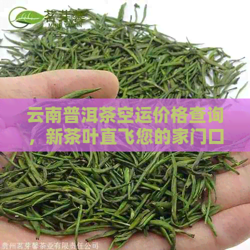 云南普洱茶空运价格查询，新茶叶直飞您的家门口