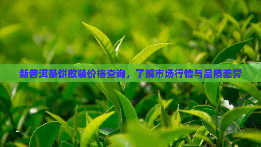 新普洱茶饼散装价格查询，了解市场行情与品质差异